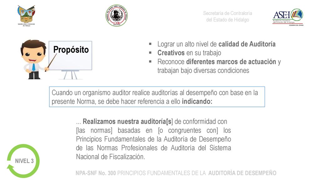 NPA-SNF No. 300 PRINCIPIOS FUNDAMENTALES DE LA AUDITORÌA DE DESEMPEÑO