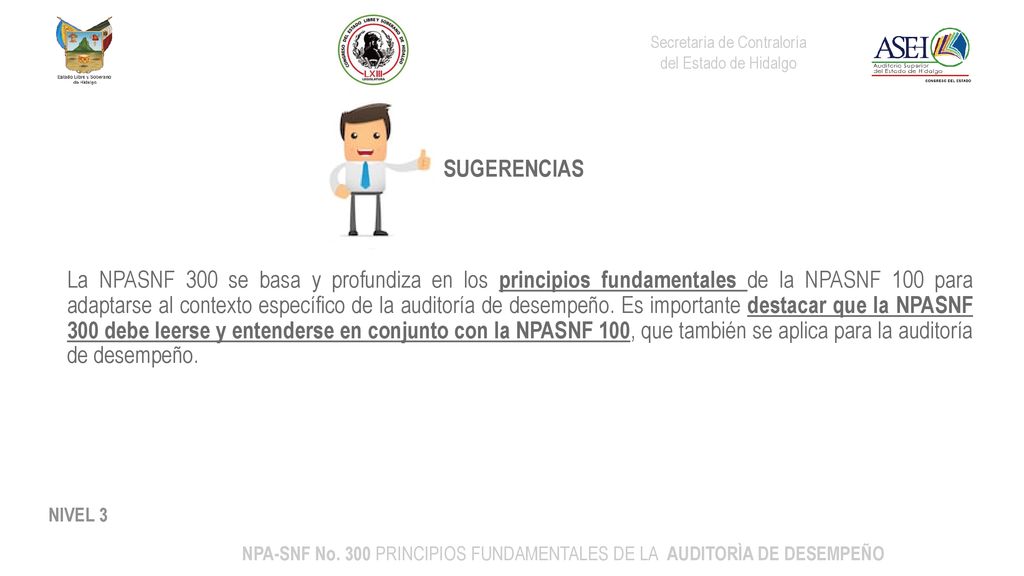 NPA-SNF No. 300 PRINCIPIOS FUNDAMENTALES DE LA AUDITORÌA DE DESEMPEÑO