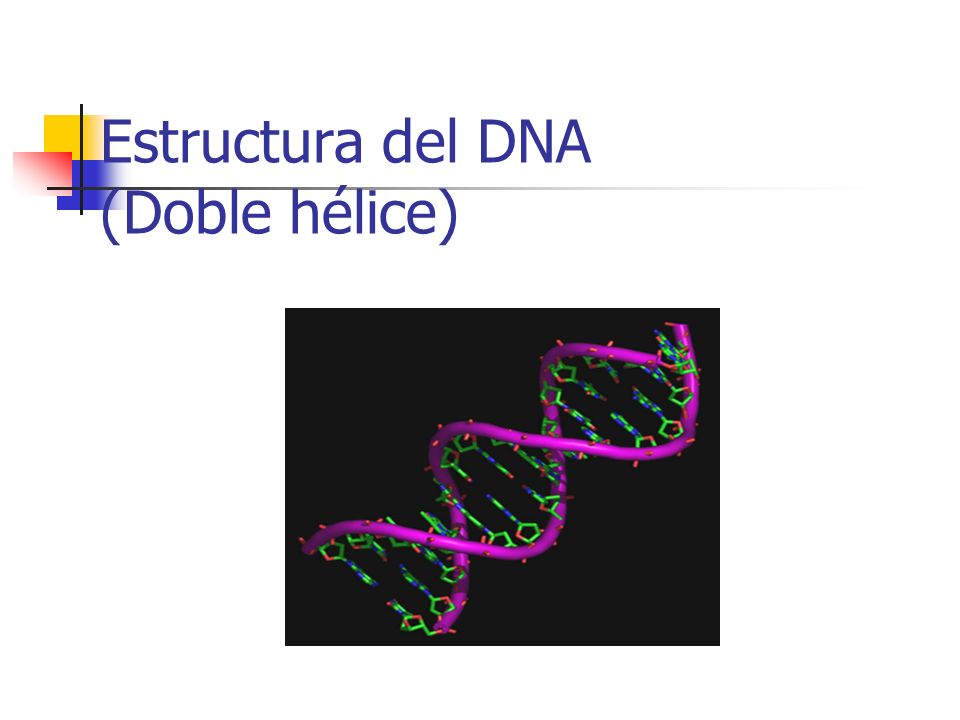 Estructura del DNA (Doble hélice)
