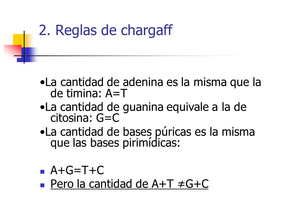 2. Reglas de chargaff •La cantidad de adenina es la misma que la de timina: A=T. •La cantidad de guanina equivale a la de citosina: G=C.