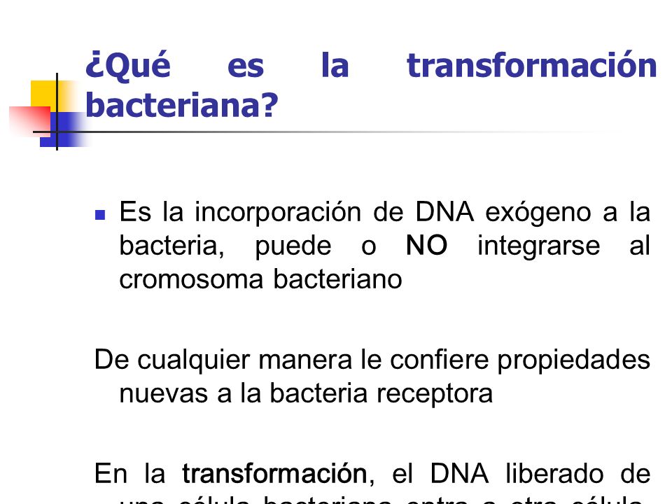 ¿Qué es la transformación bacteriana