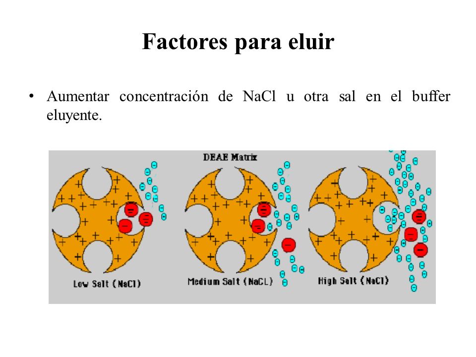 Factores para eluir Aumentar concentración de NaCl u otra sal en el buffer eluyente.