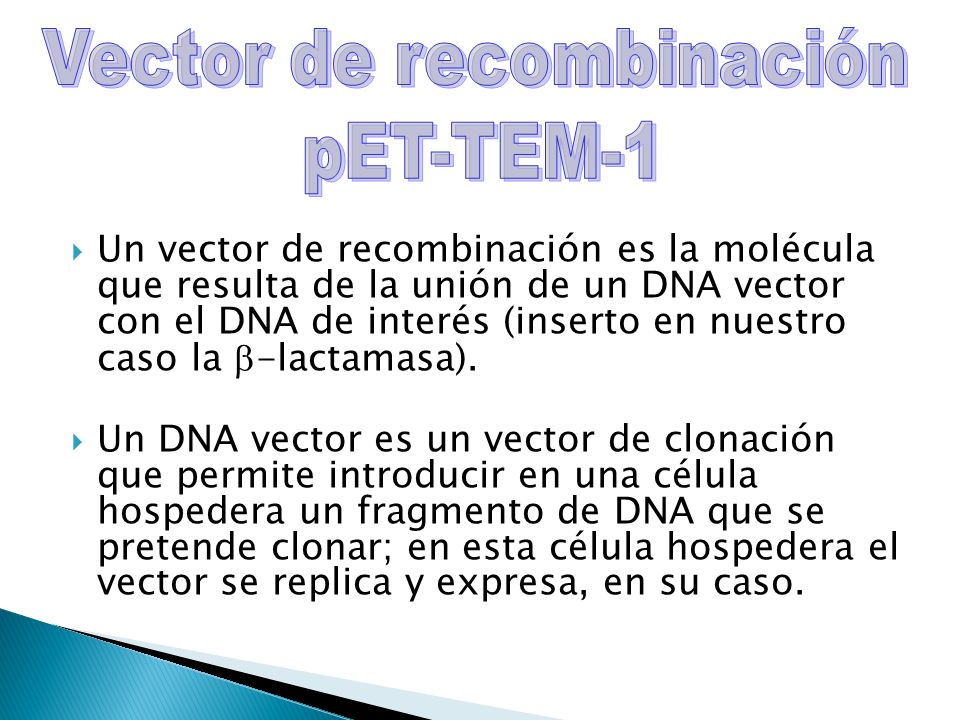 Vector de recombinación