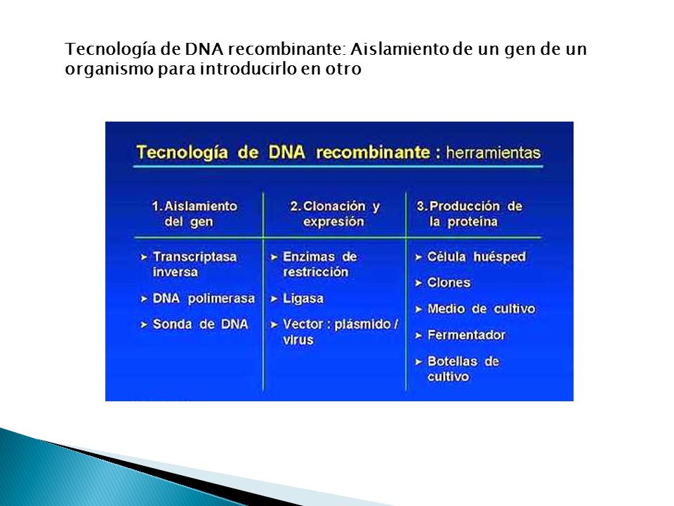Tecnología de DNA recombinante: Aislamiento de un gen de un organismo para introducirlo en otro
