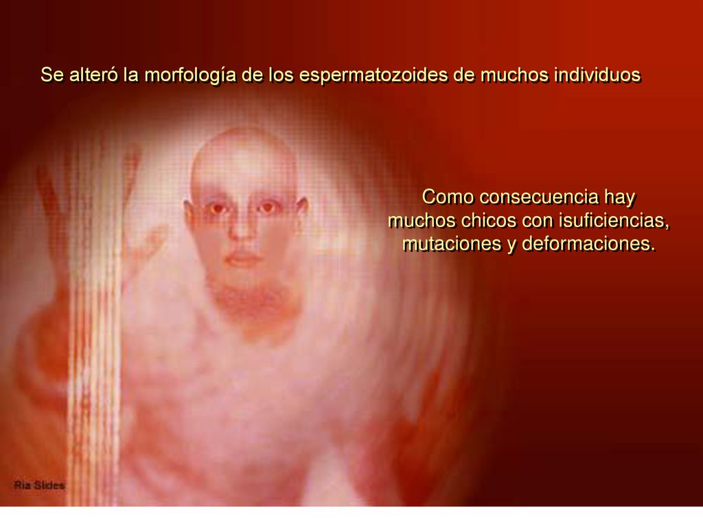 Se alteró la morfología de los espermatozoides de muchos individuos