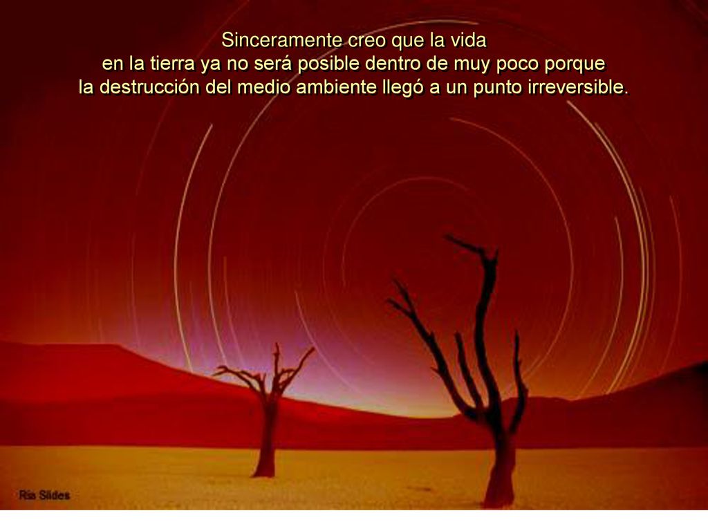 Sinceramente creo que la vida en la tierra ya no será posible dentro de muy poco porque la destrucción del medio ambiente llegó a un punto irreversible.