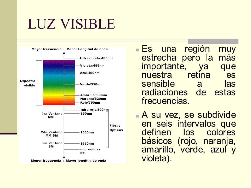 LUZ VISIBLE Es una región muy estrecha pero la más importante, ya que nuestra retina es sensible a las radiaciones de estas frecuencias.