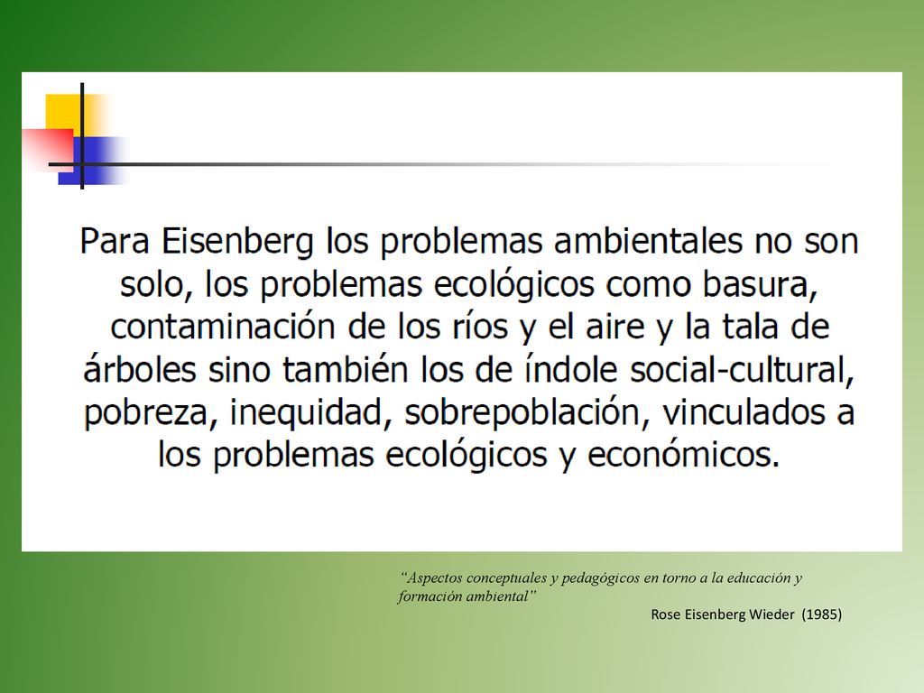 Aspectos conceptuales y pedagógicos en torno a la educación y formación ambiental