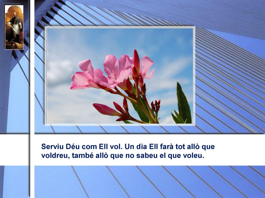 Serviu Déu com Ell vol. Un dia Ell farà tot allò que voldreu, també allò que no sabeu el que voleu.