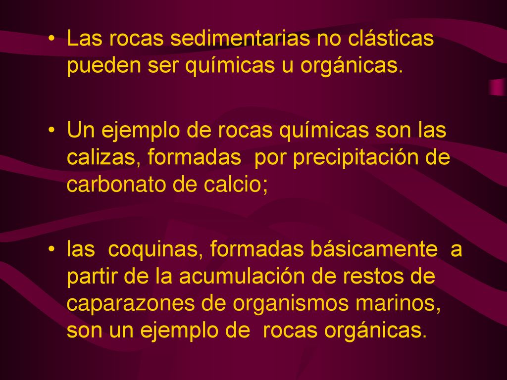 Las rocas sedimentarias no clásticas pueden ser químicas u orgánicas.