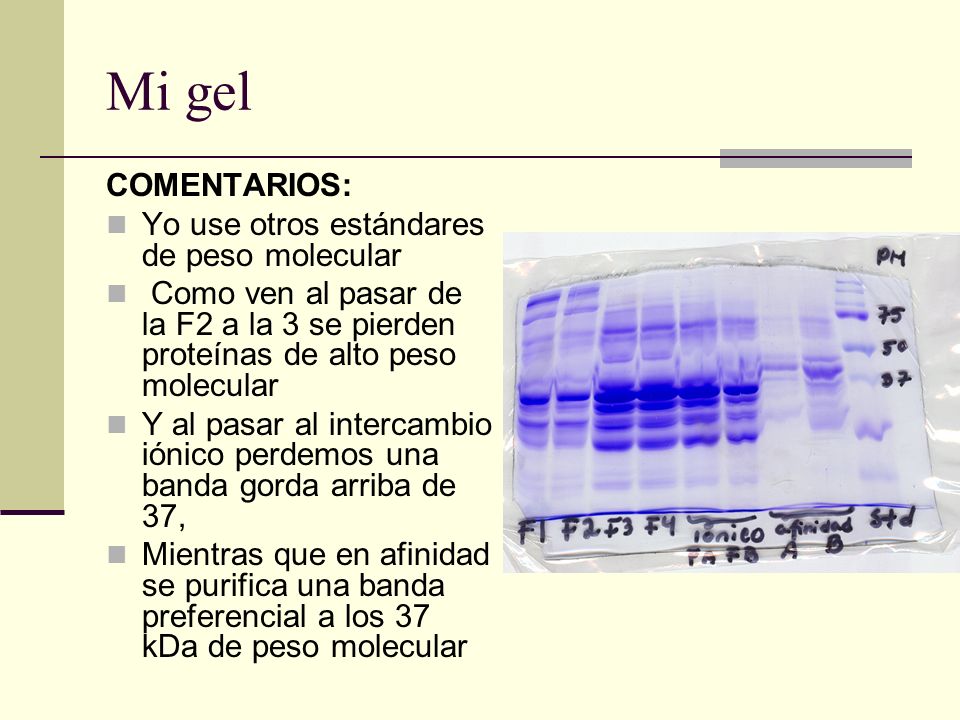 Mi gel COMENTARIOS: Yo use otros estándares de peso molecular