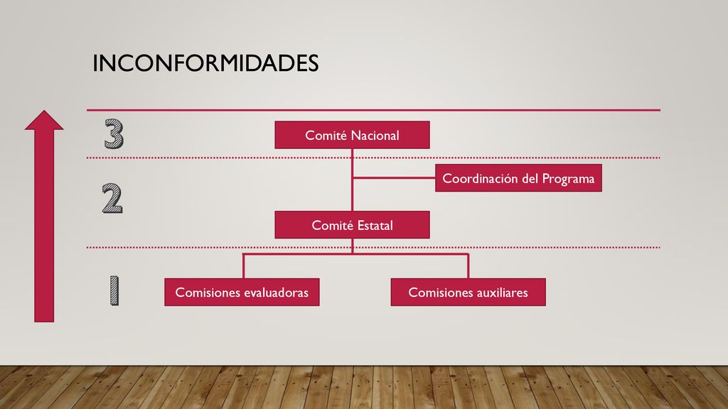 3 2 1 INCONFORMIDADES Comité Nacional Coordinación del Programa