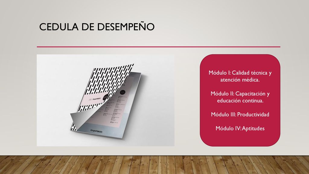 Cedula de desempeño Módulo I: Calidad técnica y atención médica.