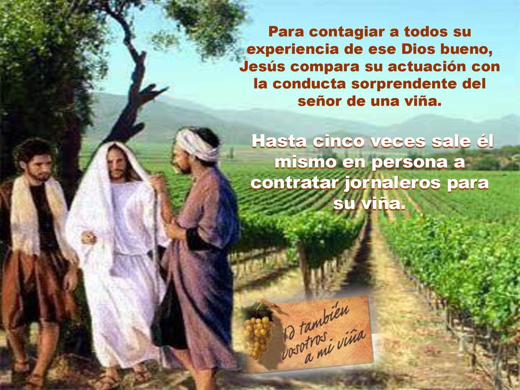 Para contagiar a todos su experiencia de ese Dios bueno, Jesús compara su actuación con la conducta sorprendente del señor de una viña.