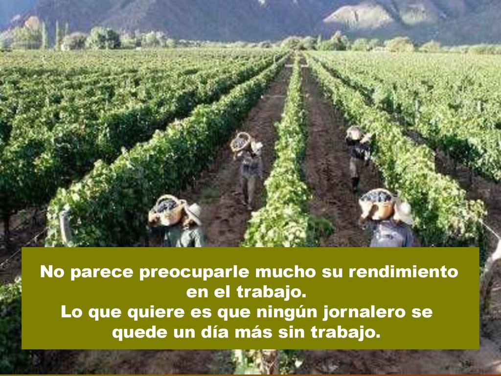 Lo que quiere es que ningún jornalero se quede un día más sin trabajo.