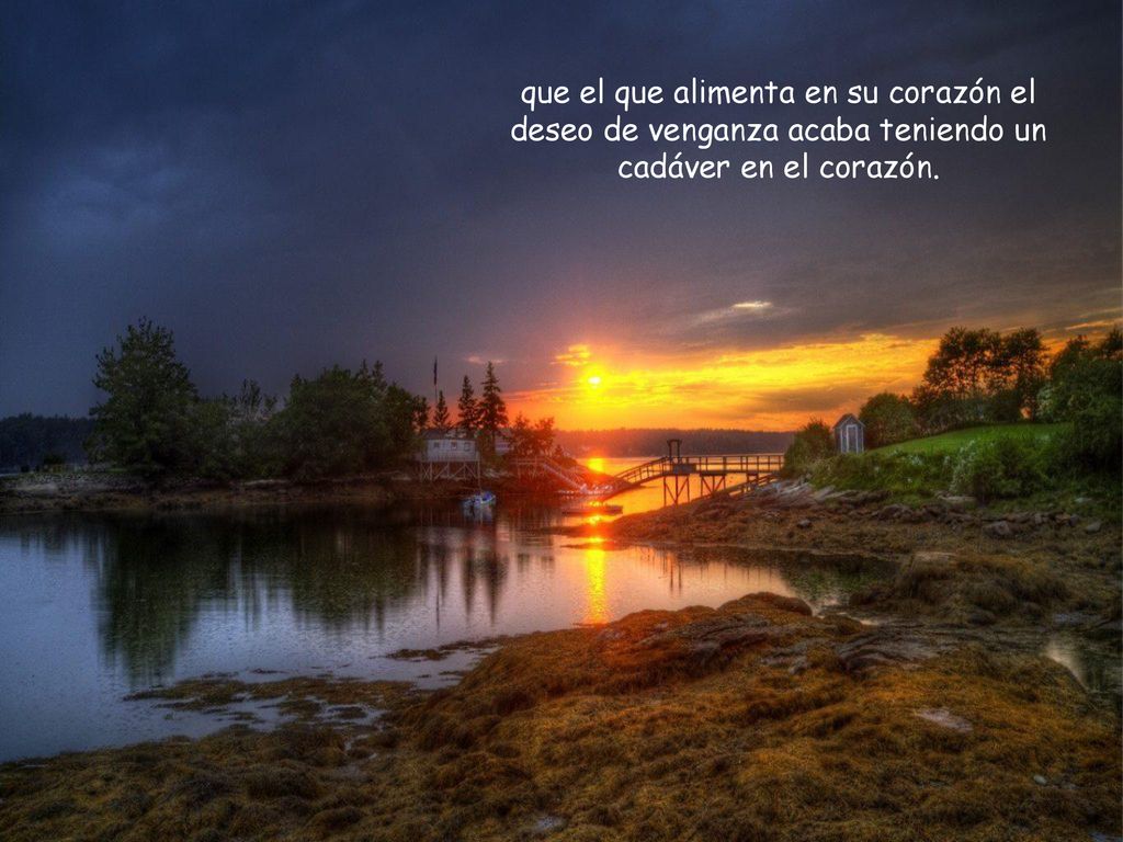 que el que alimenta en su corazón el deseo de venganza acaba teniendo un cadáver en el corazón.