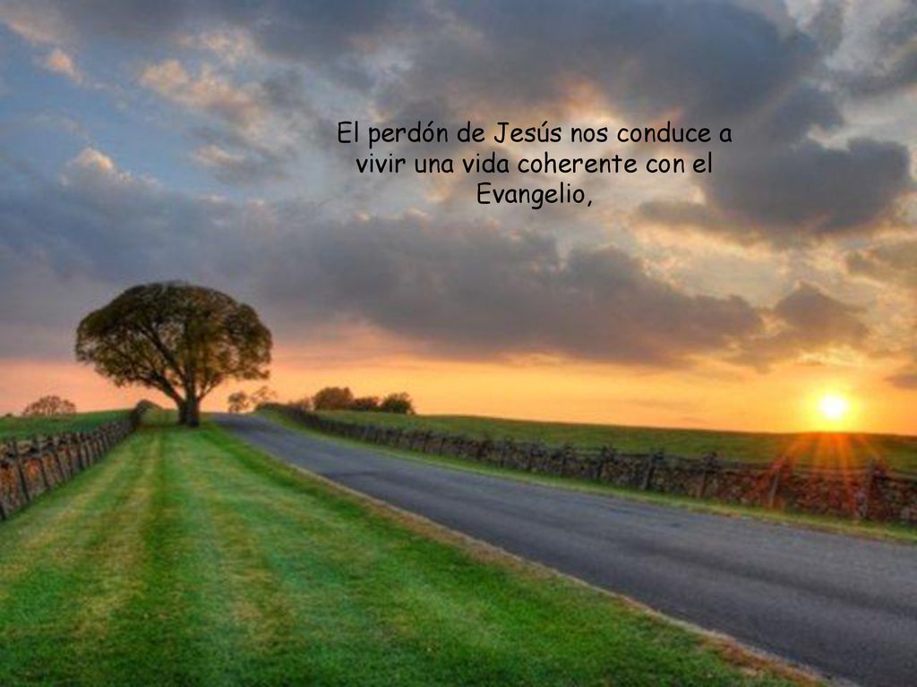 El perdón de Jesús nos conduce a vivir una vida coherente con el Evangelio,