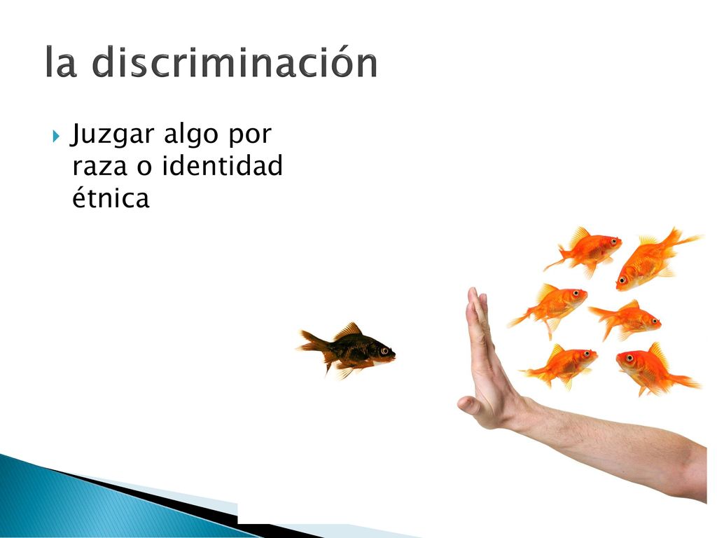la discriminación Juzgar algo por raza o identidad étnica