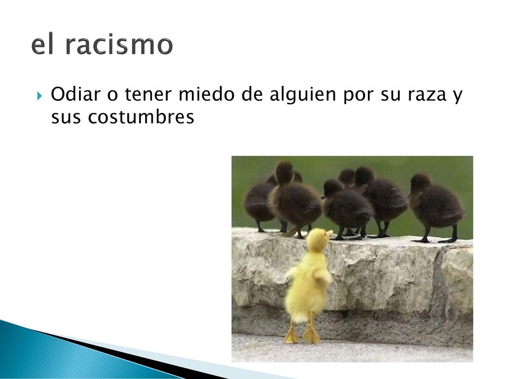 el racismo Odiar o tener miedo de alguien por su raza y sus costumbres