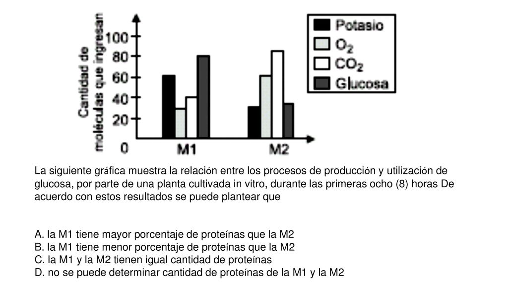 La siguiente gráfica muestra la relación entre los procesos de producción y utilización de glucosa, por parte de una planta cultivada in vitro, durante las primeras ocho (8) horas De acuerdo con estos resultados se puede plantear que