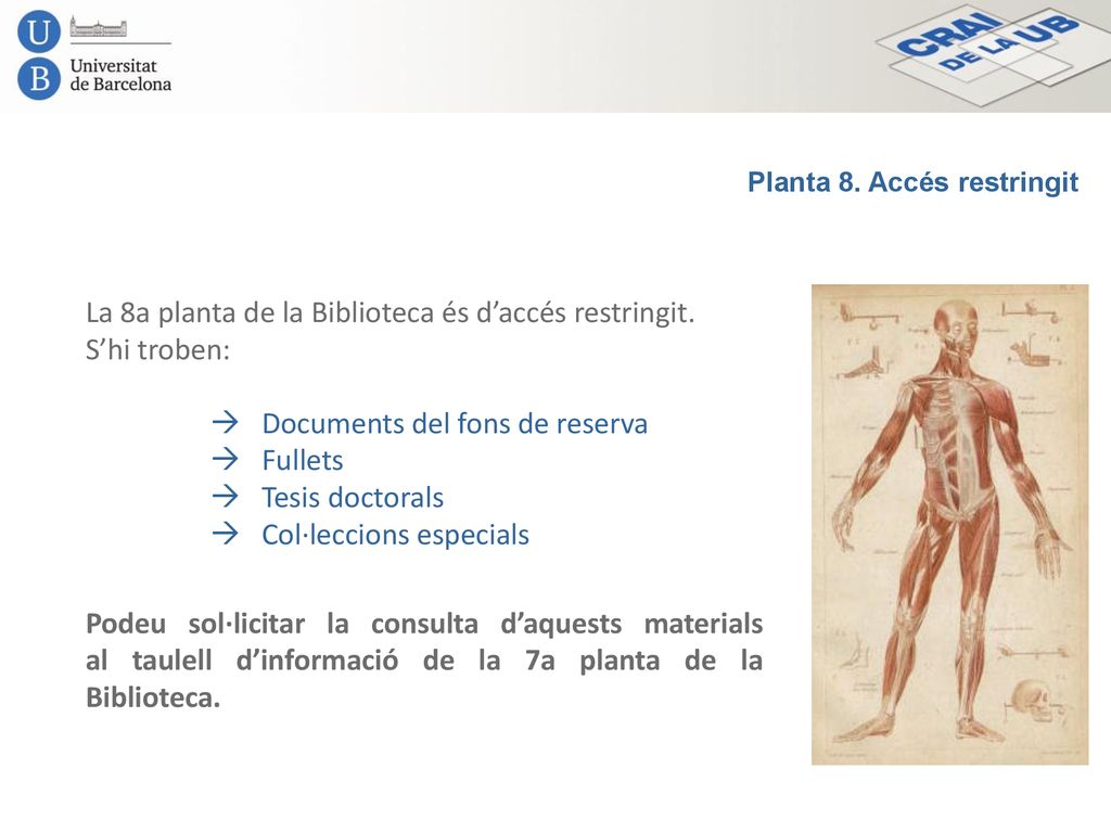 La 8a planta de la Biblioteca és d’accés restringit. S’hi troben: