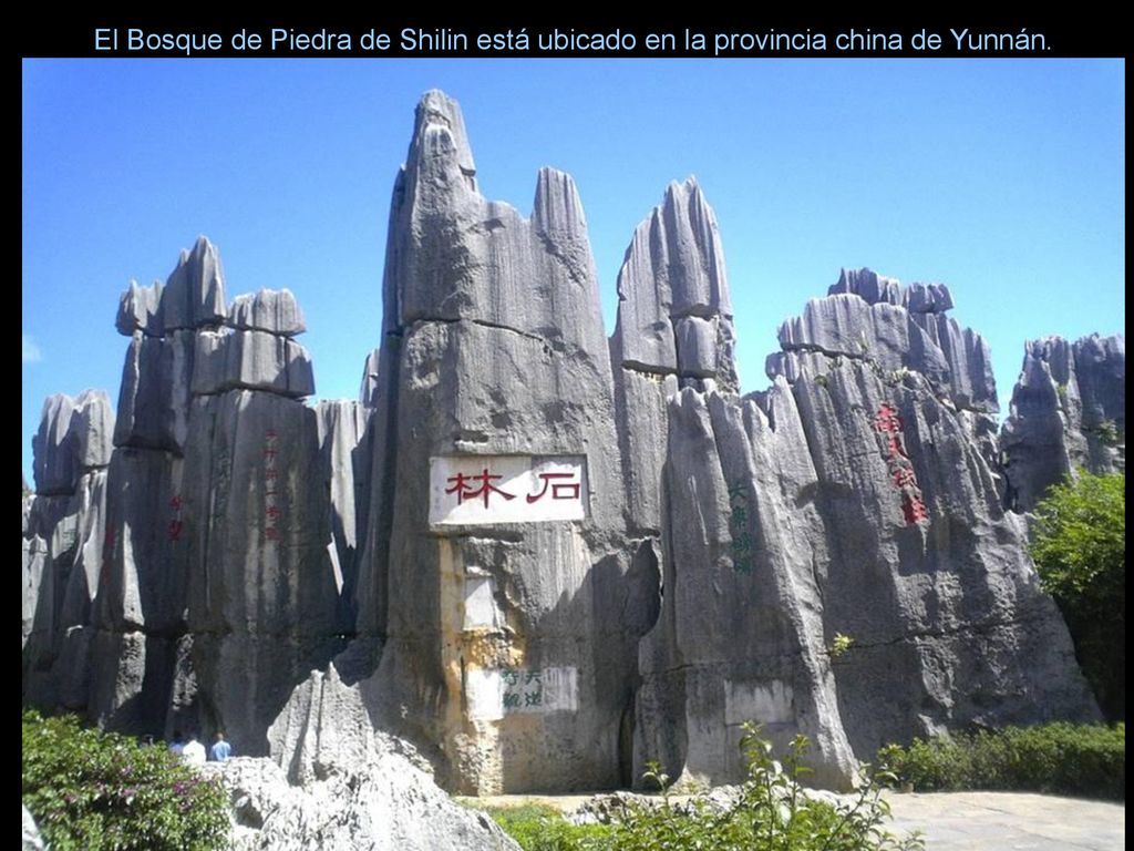 El Bosque de Piedra de Shilin está ubicado en la provincia china de Yunnán.