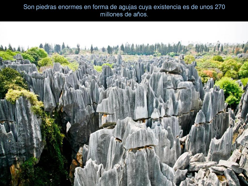 Son piedras enormes en forma de agujas cuya existencia es de unos 270 millones de años.