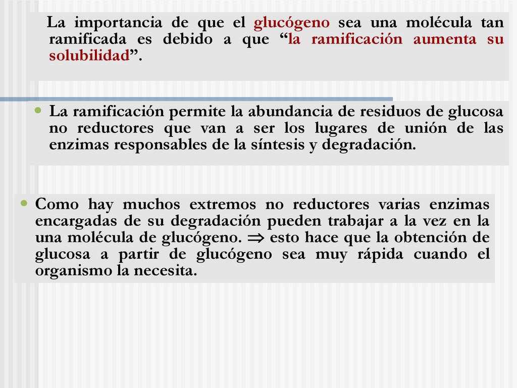 La importancia de que el glucógeno sea una molécula tan ramificada es debido a que la ramificación aumenta su solubilidad .