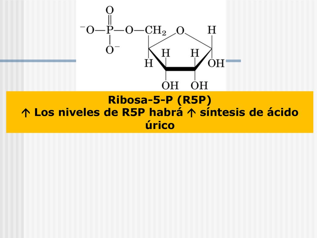  Los niveles de R5P habrá  síntesis de ácido úrico