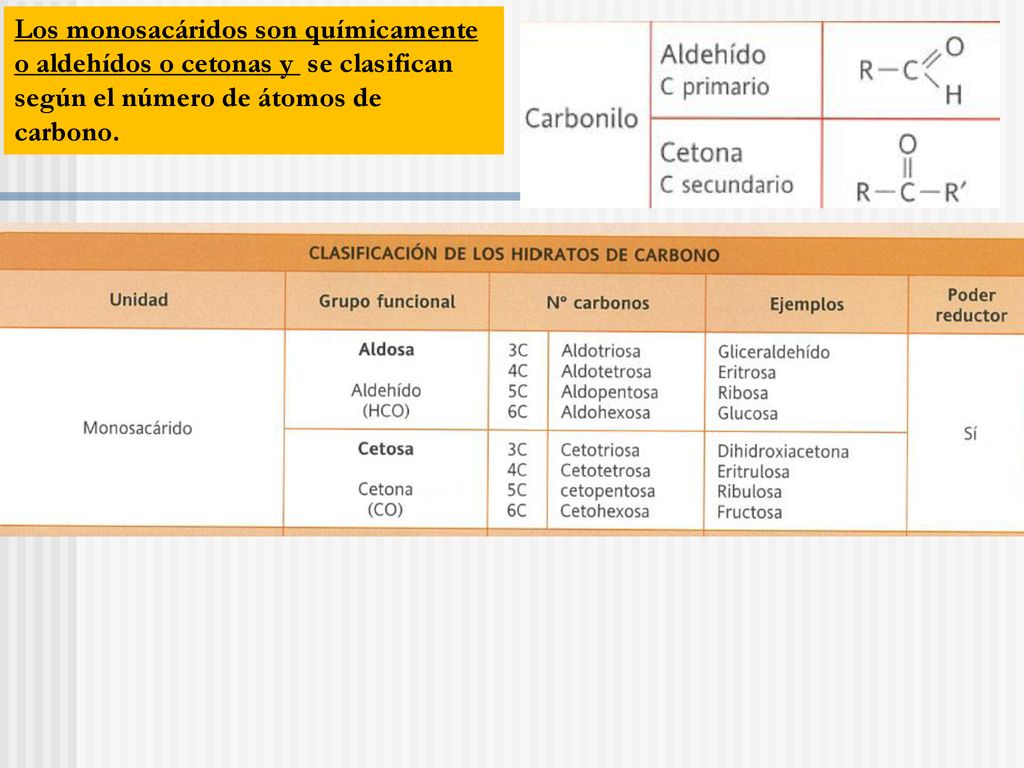 Los monosacáridos son químicamente o aldehídos o cetonas y se clasifican según el número de átomos de carbono.