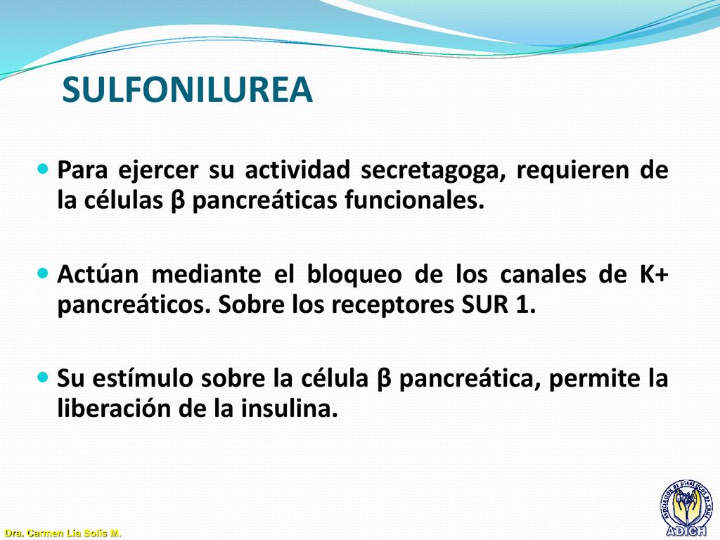 SULFONILUREA Para ejercer su actividad secretagoga, requieren de la células β pancreáticas funcionales.