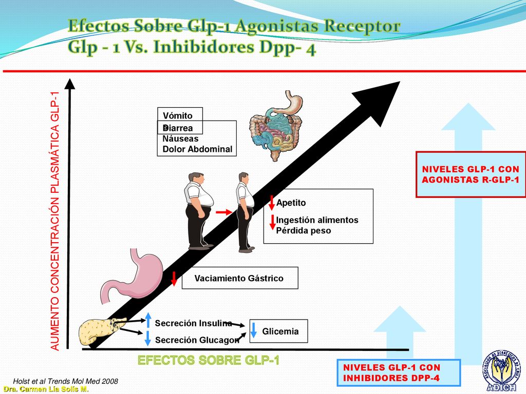 Efectos Sobre Glp-1 Agonistas Receptor Glp - 1 Vs. Inhibidores Dpp- 4
