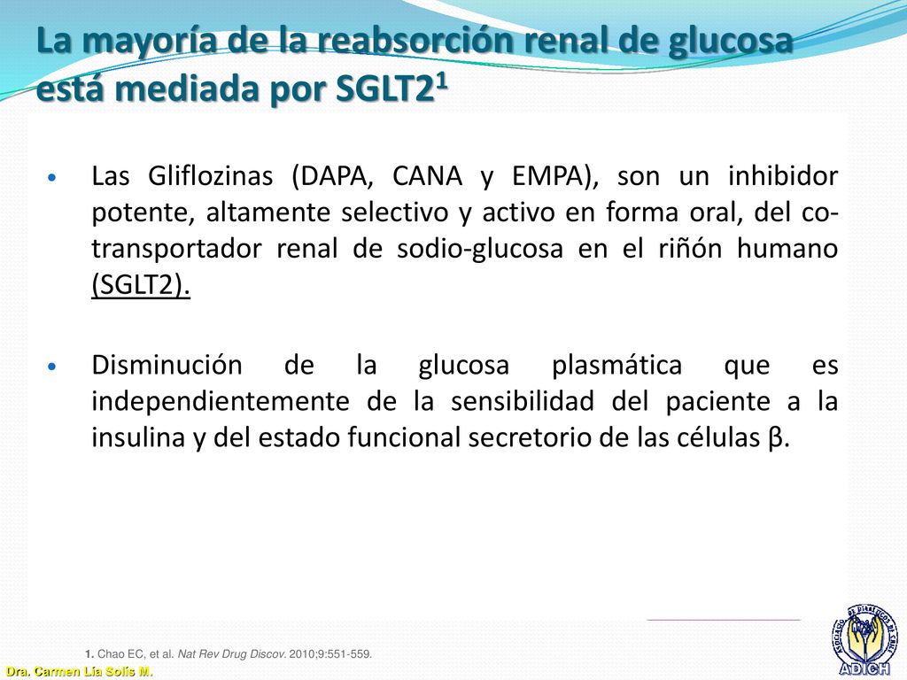 La mayoría de la reabsorción renal de glucosa está mediada por SGLT21