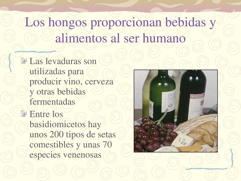 Los hongos proporcionan bebidas y alimentos al ser humano