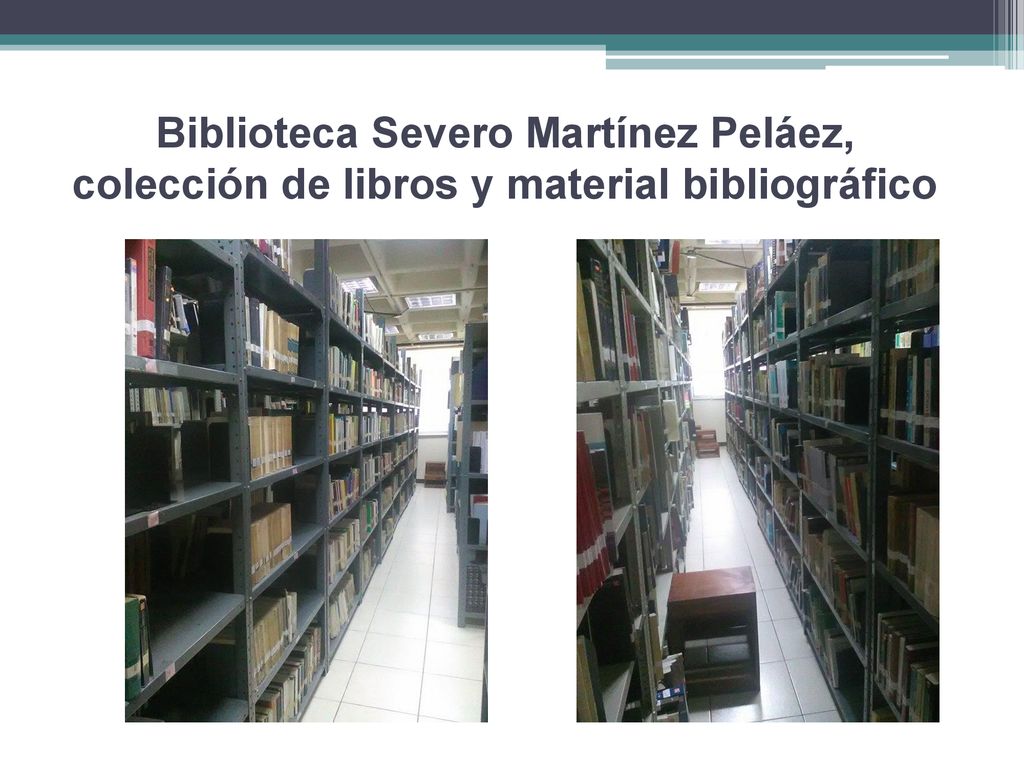 Biblioteca Severo Martínez Peláez, colección de libros y material bibliográfico