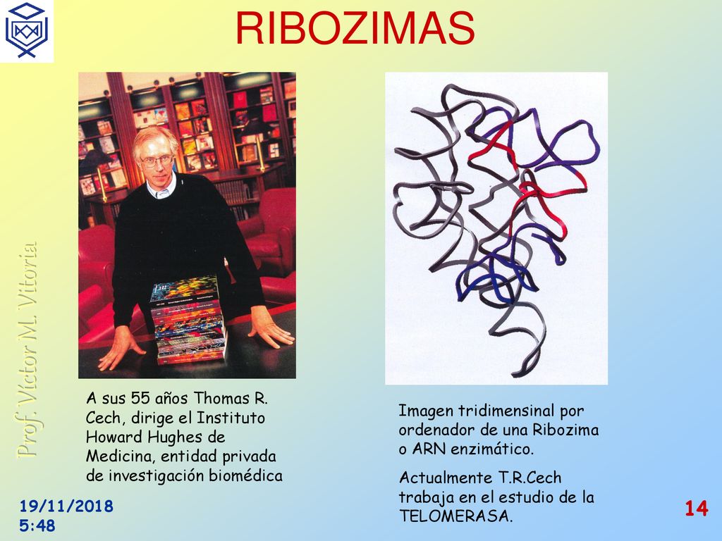 RIBOZIMAS A sus 55 años Thomas R. Cech, dirige el Instituto Howard Hughes de Medicina, entidad privada de investigación biomédica.