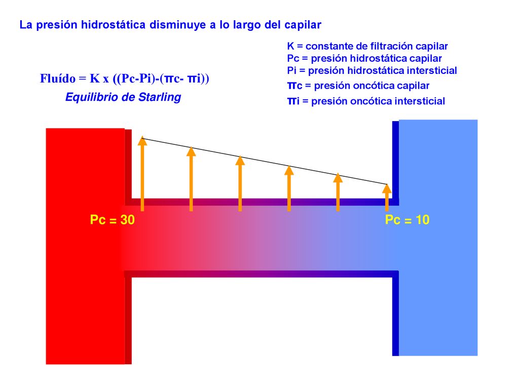 πc = presión oncótica capilar πi = presión oncótica intersticial
