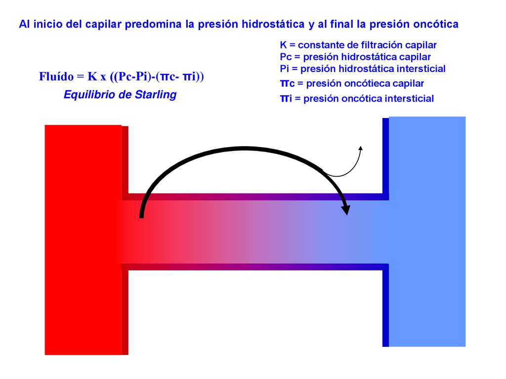πc = presión oncótieca capilar πi = presión oncótica intersticial