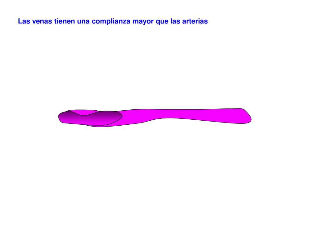 Las venas tienen una complianza mayor que las arterias