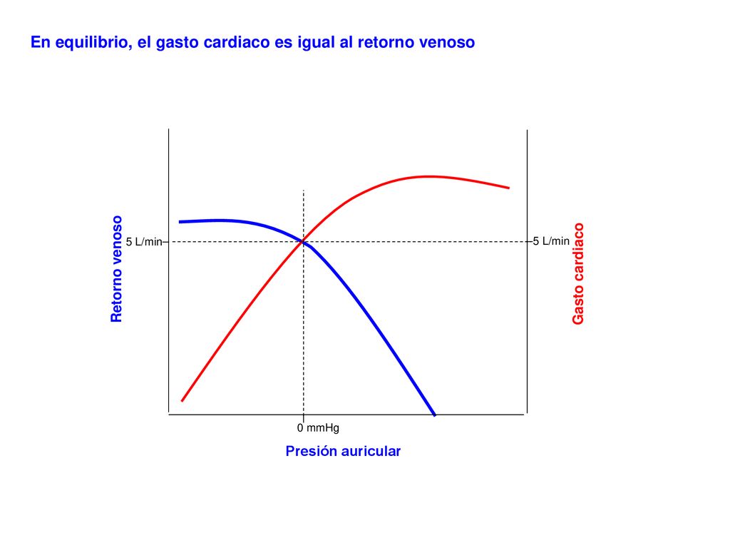 En equilibrio, el gasto cardiaco es igual al retorno venoso