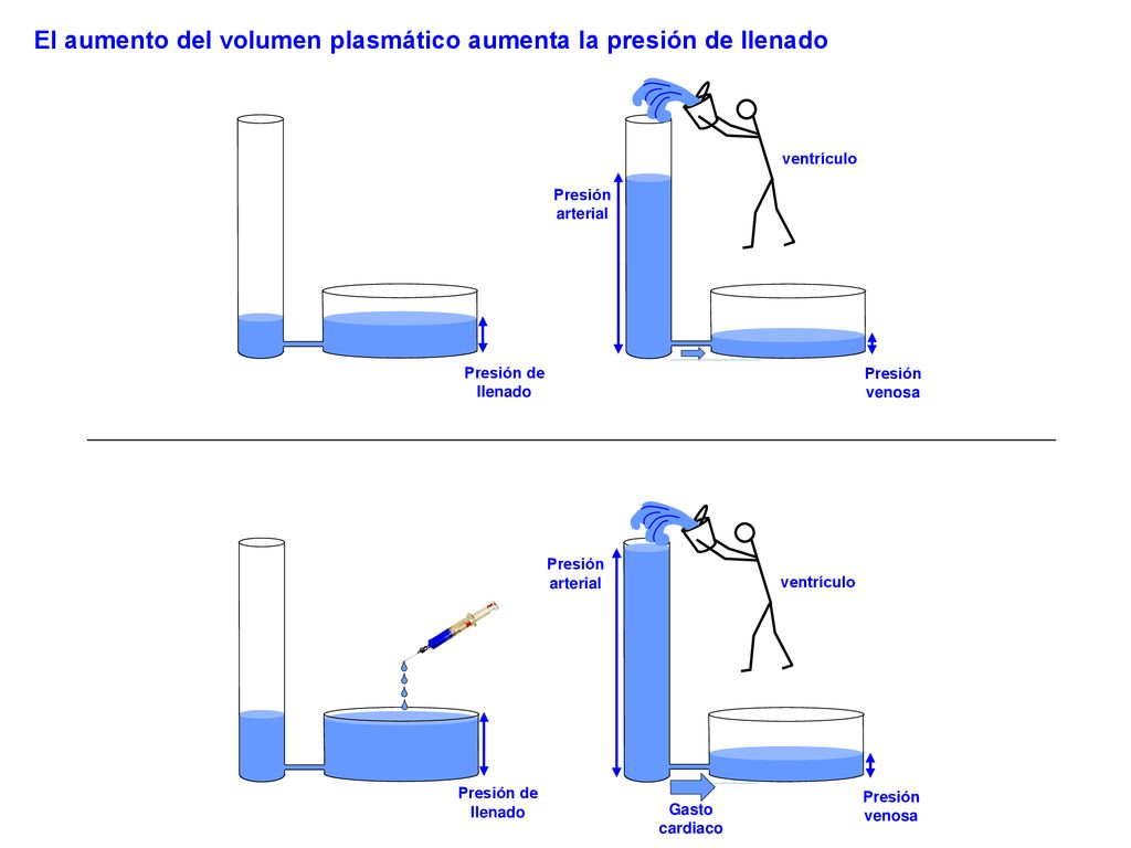 El aumento del volumen plasmático aumenta la presión de llenado