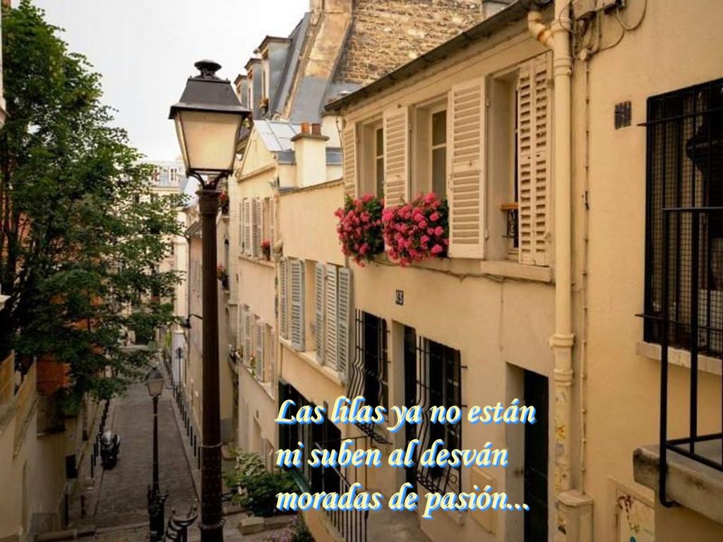Las lilas ya no están ni suben al desván moradas de pasión...