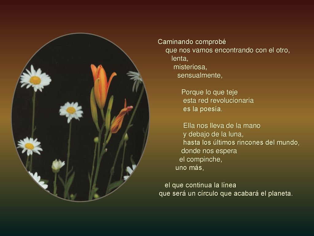 Caminando comprobé que nos vamos encontrando con el otro, lenta, misteriosa, sensualmente,