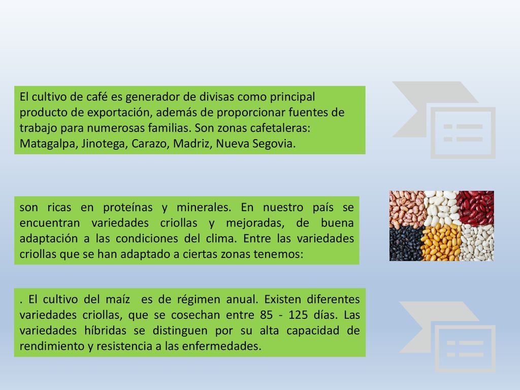El cultivo de café es generador de divisas como principal producto de exportación, además de proporcionar fuentes de trabajo para numerosas familias. Son zonas cafetaleras: Matagalpa, Jinotega, Carazo, Madriz, Nueva Segovia.