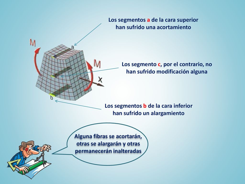 Los segmentos a de la cara superior han sufrido una acortamiento