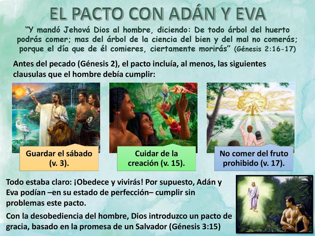 Cuidar de la creación (v. 15). No comer del fruto prohibido (v. 17).
