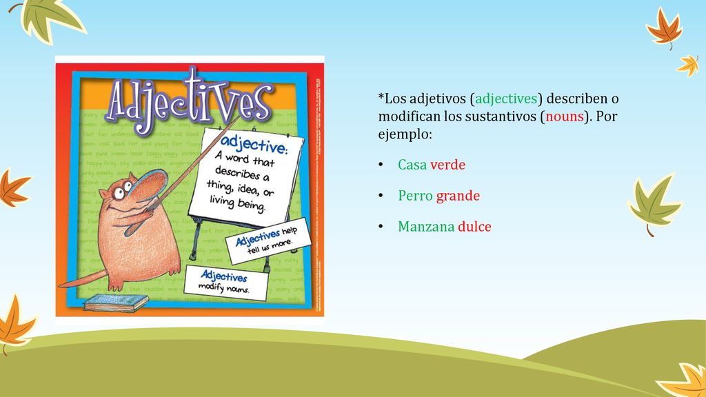 *Los adjetivos (adjectives) describen o modifican los sustantivos (nouns). Por ejemplo: