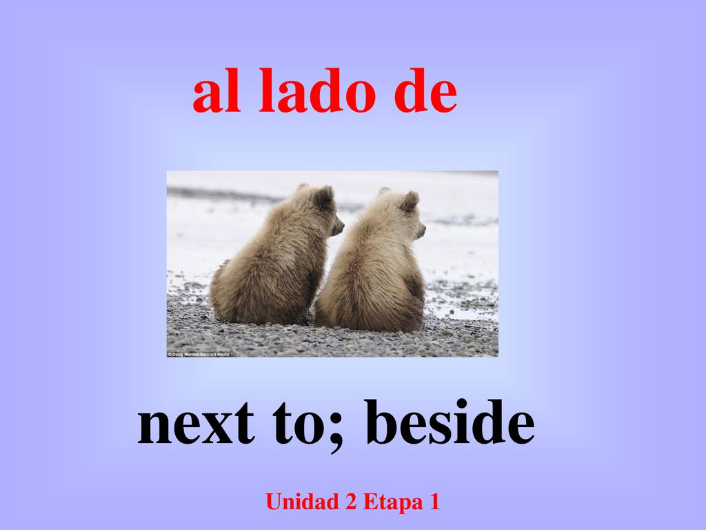 al lado de next to; beside Unidad 2 Etapa 1