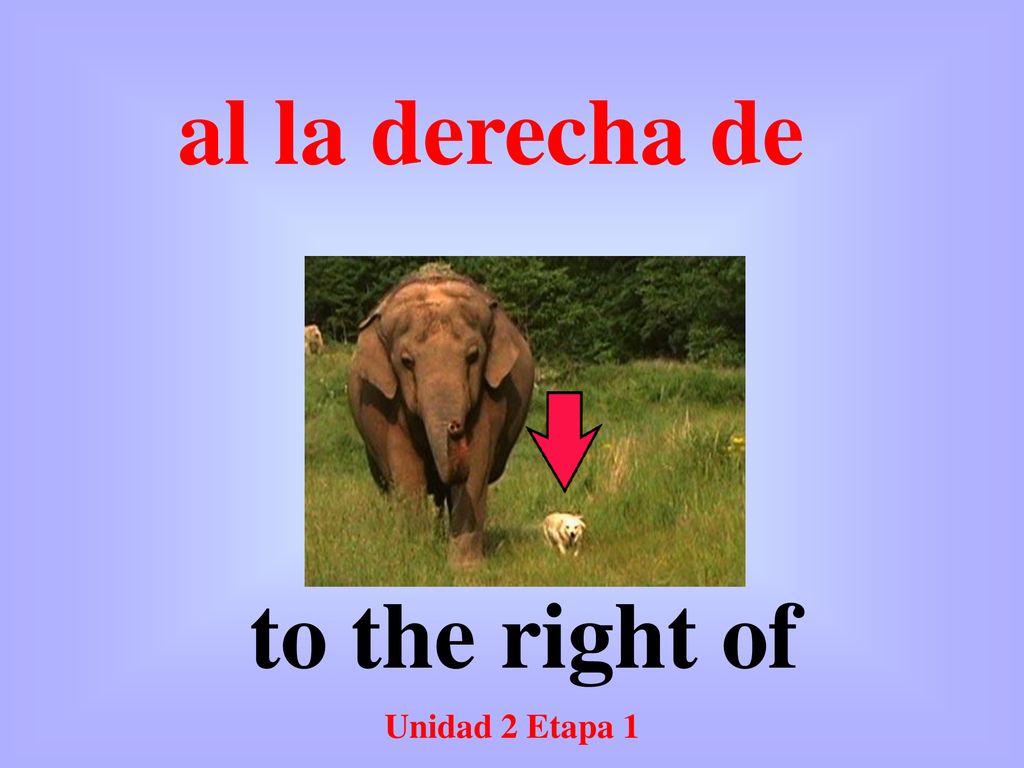 al la derecha de to the right of Unidad 2 Etapa 1