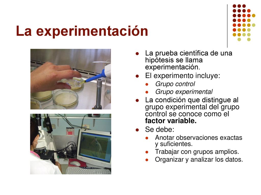 La experimentación La prueba científica de una hipótesis se llama experimentación. El experimento incluye: